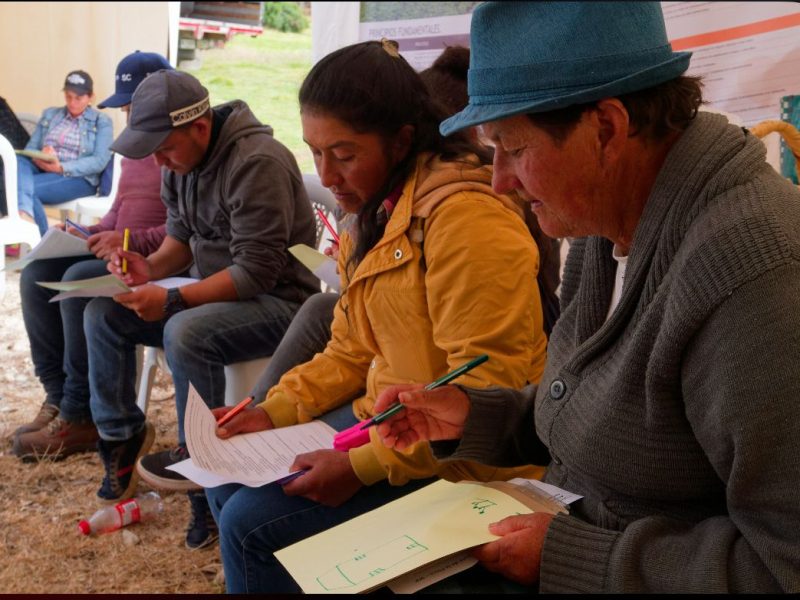 WhatsApp Image 2025-08-28 at 9.03.13 PM (1)